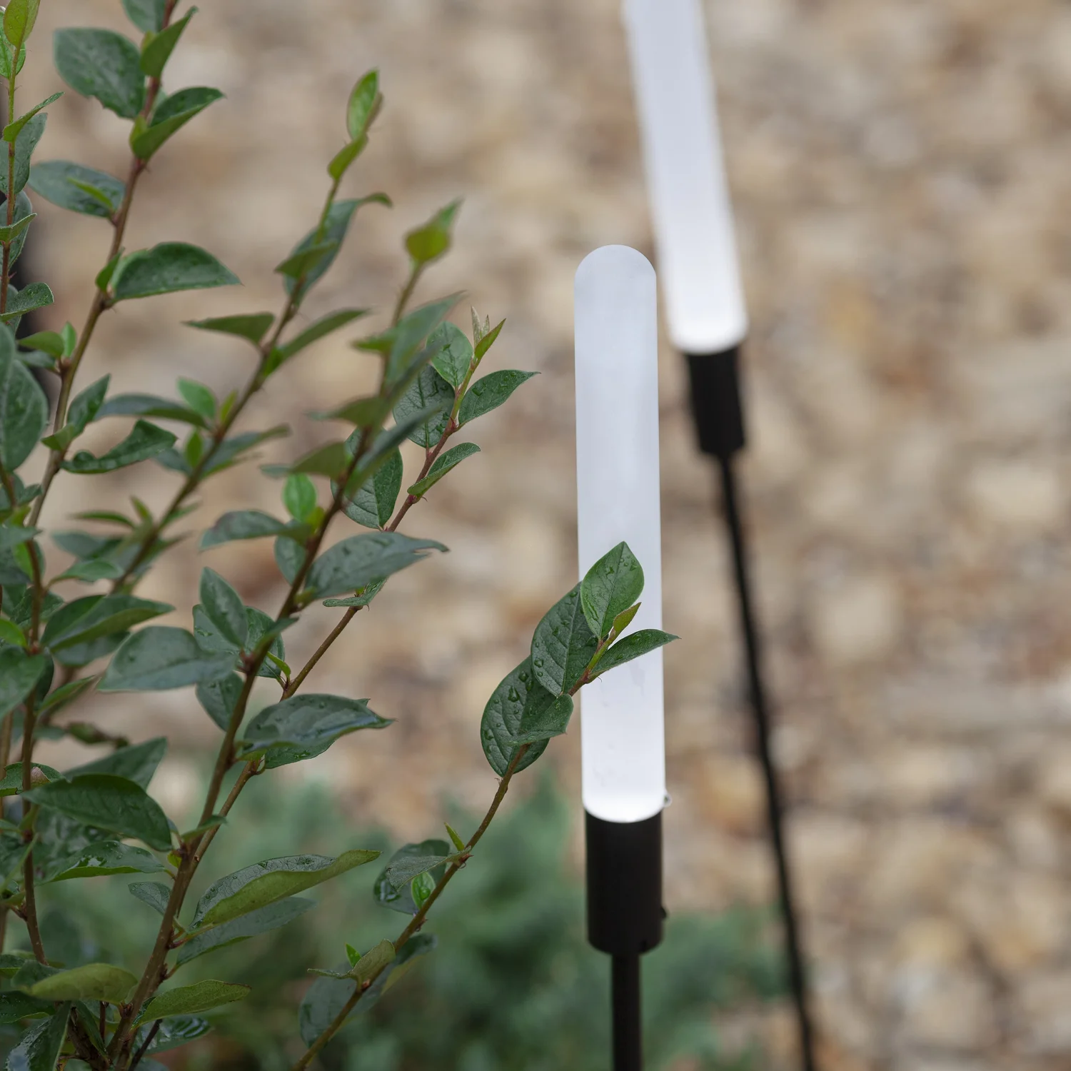 Ландшафтные светильники Favourite 4048-3T Reedy