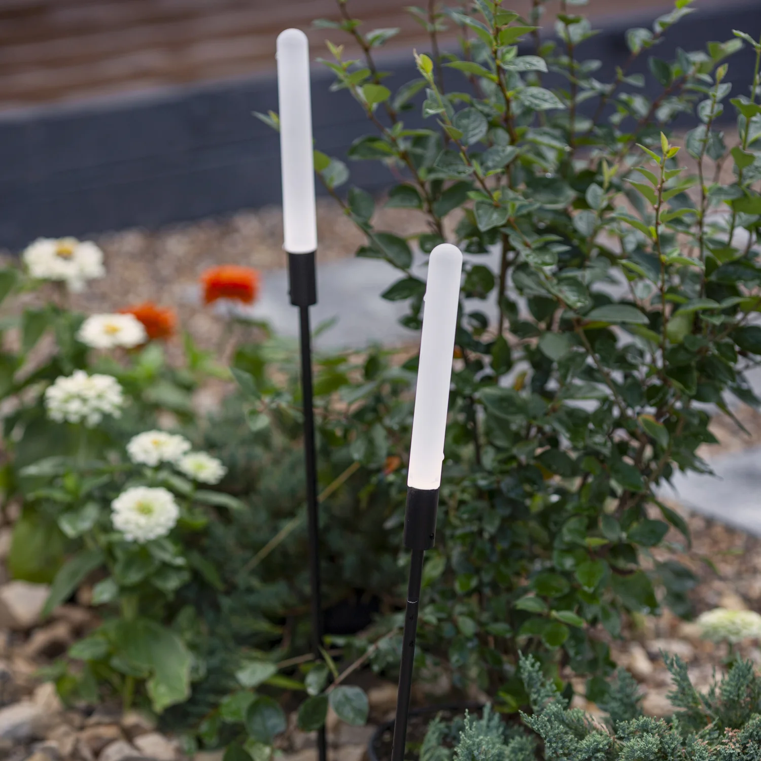 Ландшафтные светильники Favourite 4048-3T Reedy