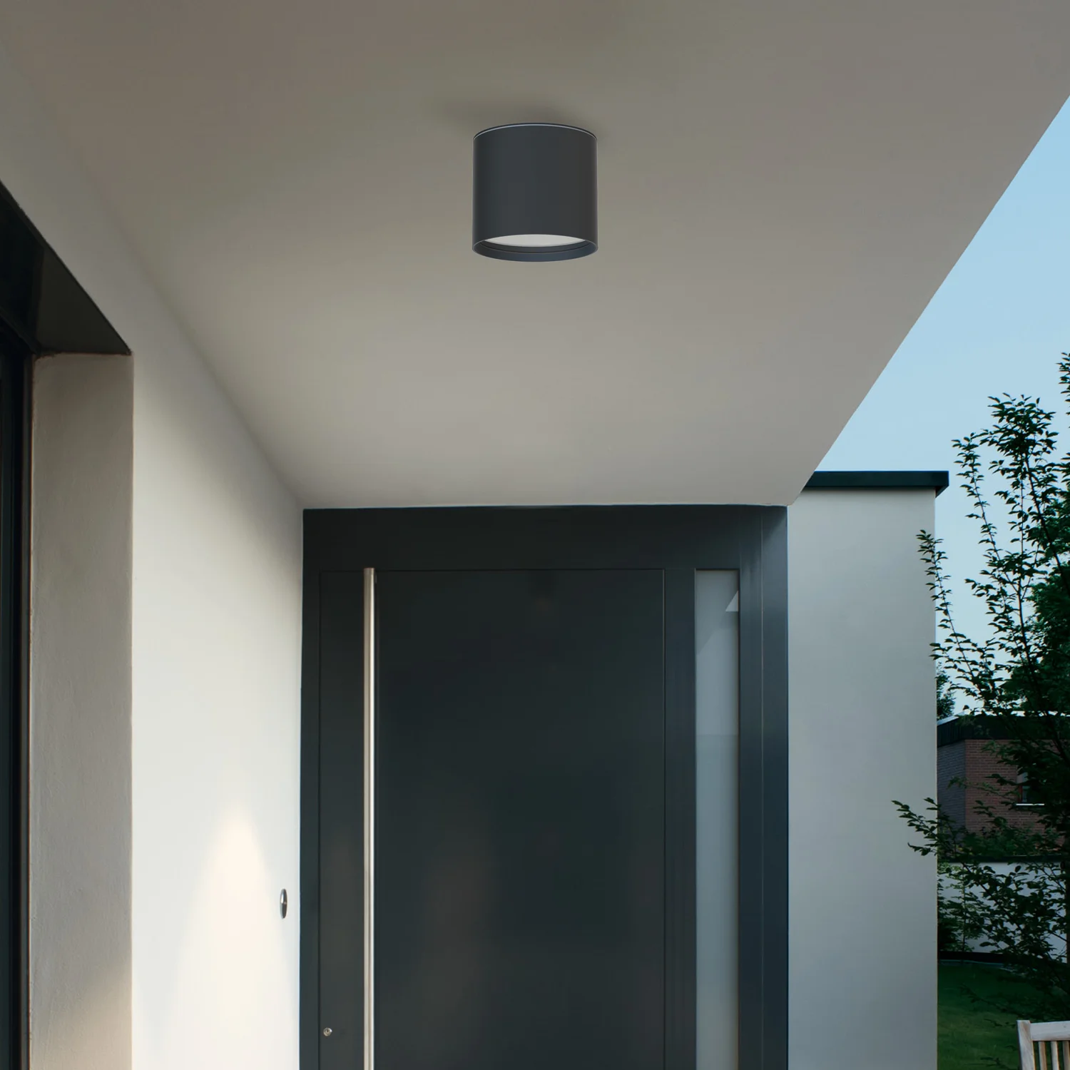 Накладные потолочные светильники Favourite 4663-1U Fantum