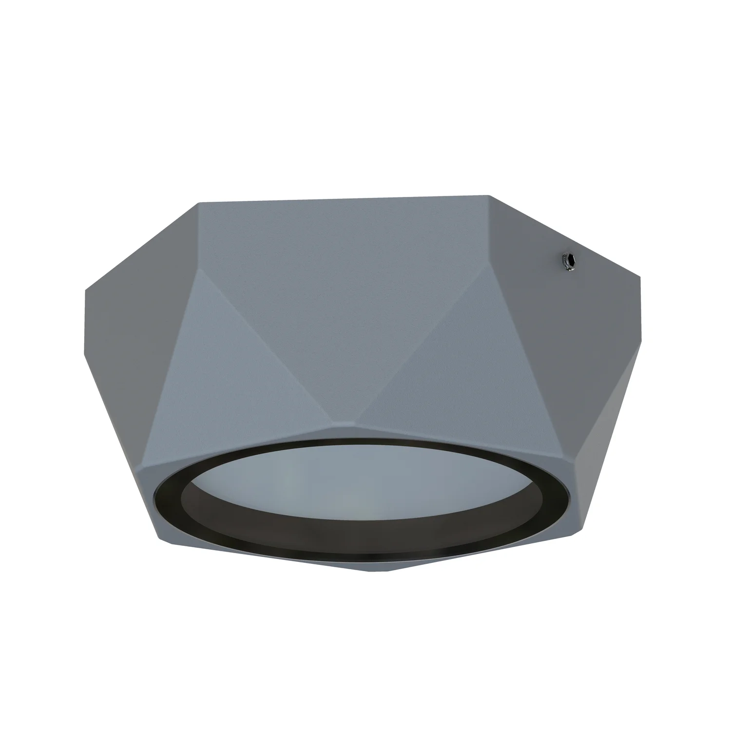 Накладные потолочные светильники Favourite 4669-1U Fantum