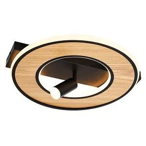 Потолочные светильники F-Promo 4438-2C Olika