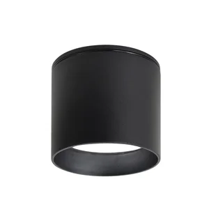 Накладные потолочные светильники Favourite 4661-1U Fantum