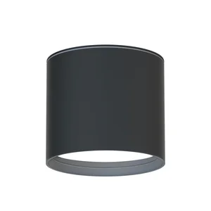 Накладные потолочные светильники Favourite 4663-1U Fantum