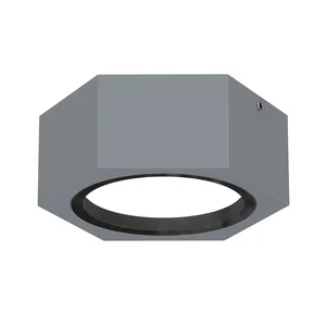 Накладные потолочные светильники Favourite 4666-1U Fantum