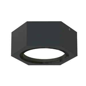 Накладные потолочные светильники Favourite 4667-1U Fantum