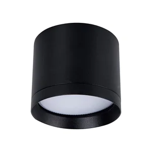 Накладные потолочные светильники Favourite 4707-1C Rote