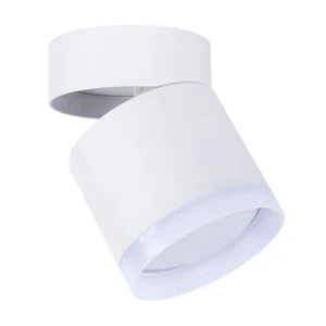 Накладные потолочные светильники Favourite 4709-1C Dixi